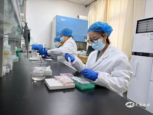 民勤縣2025年畜間布病免疫轉(zhuǎn)陽(yáng)率檢測(cè)采血工作有序推進(jìn)