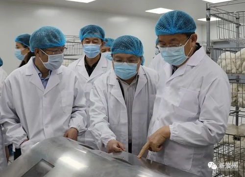 濱州新建12年制學(xué)校，優(yōu)質(zhì)教育資源再擴(kuò)容